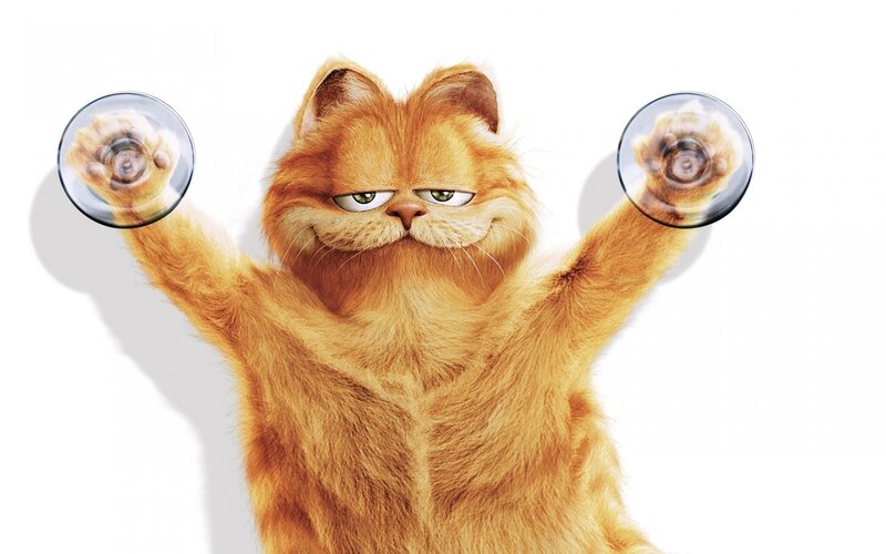 Orange Cat with Glasses — Neutral