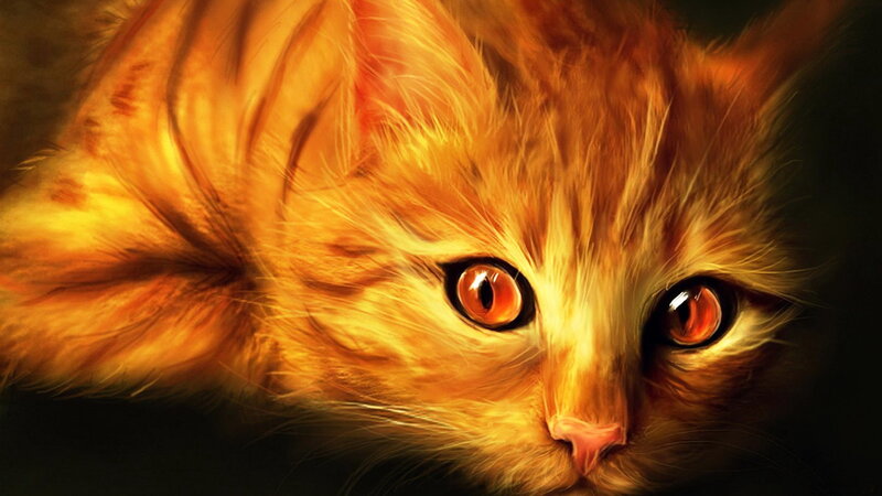 Orange Cat with Glowing Eyes