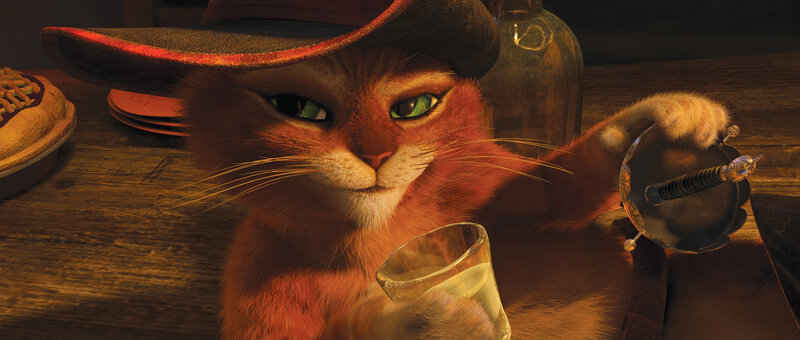 Orange Cat with Hat