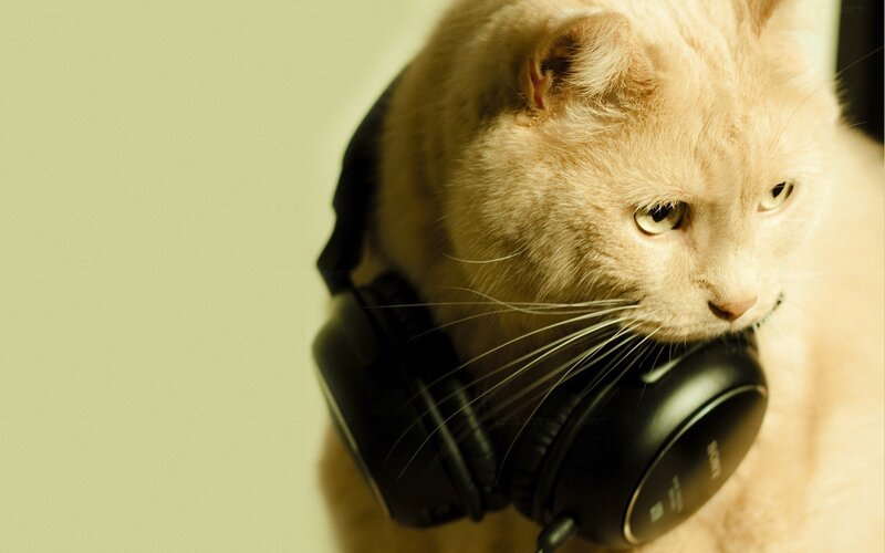 Orange Cat with Headphones — Beige, Calm