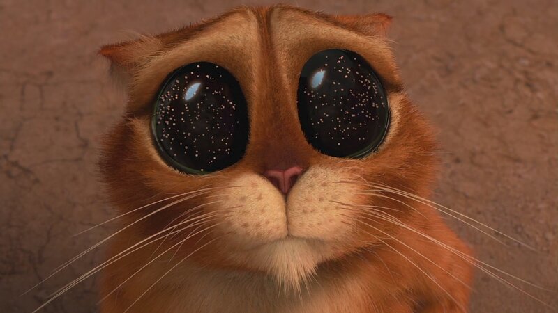 Orange Cat with Large Eyes