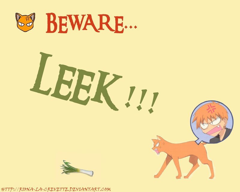 Orange Cat with Leek