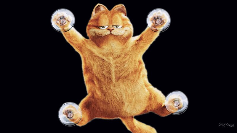 Orange Cat with Suction Cups