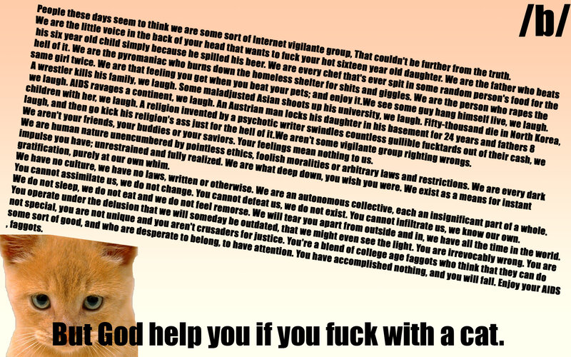Orange Cat with Text