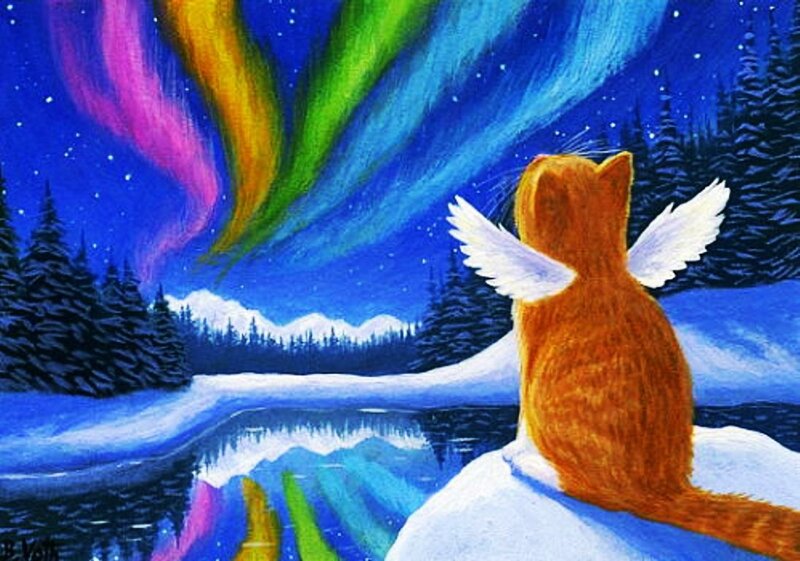 Orange Cat with Wings — Blue