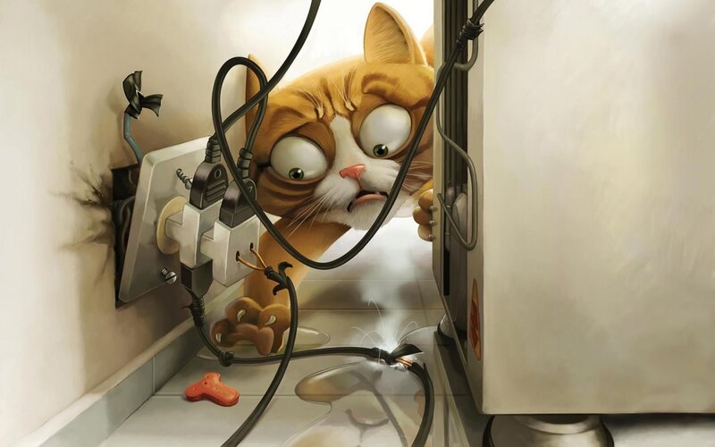 Orange Cat with Wires