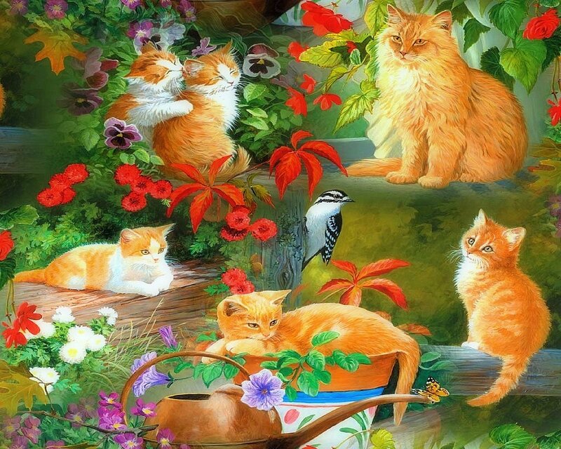 Orange Cats in Garden