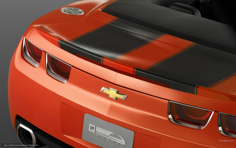 Orange Chevrolet Camaro rear view