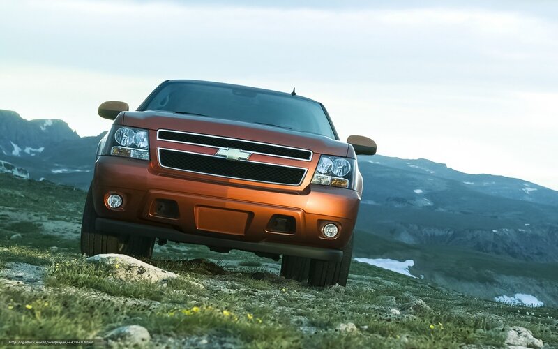 Orange Chevrolet truck on mountain