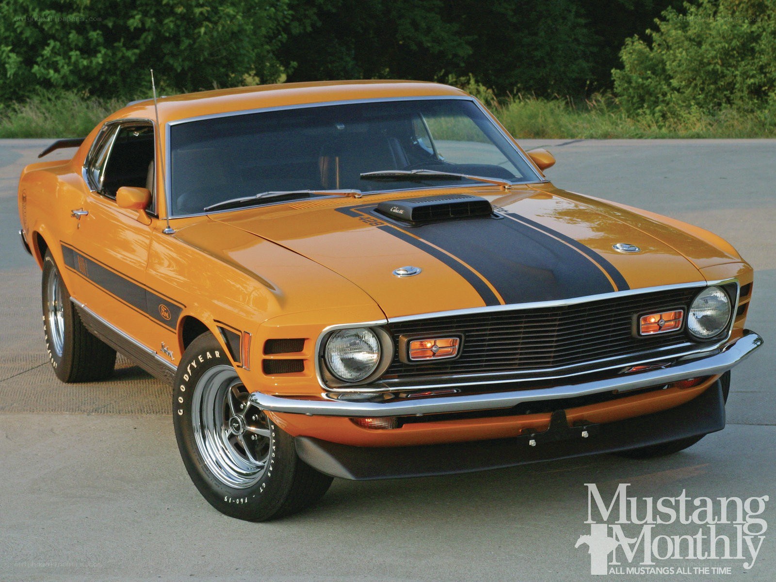 Orange classic Mustang