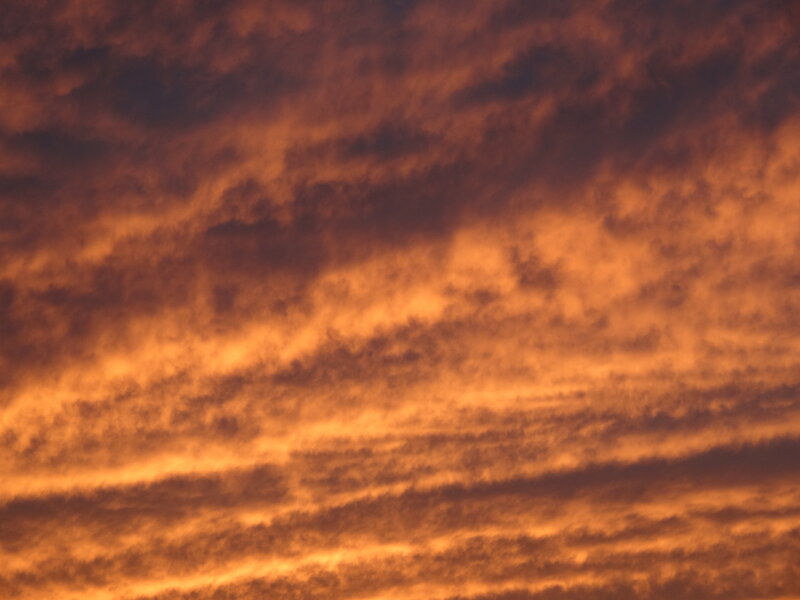 Orange Clouds in Sky