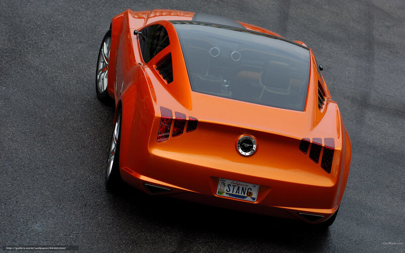 Orange Concept Car — Dramatic, Photograph, License Plate