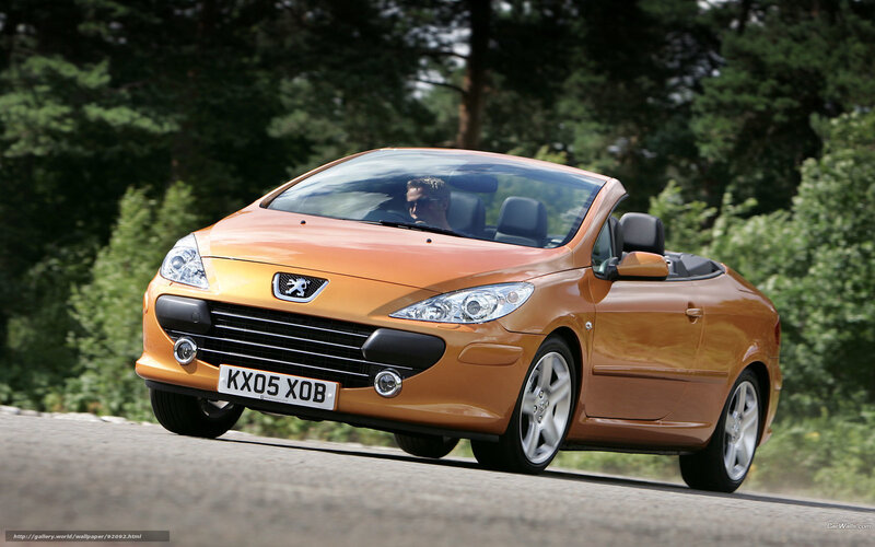 Orange Convertible Car — Dynamic