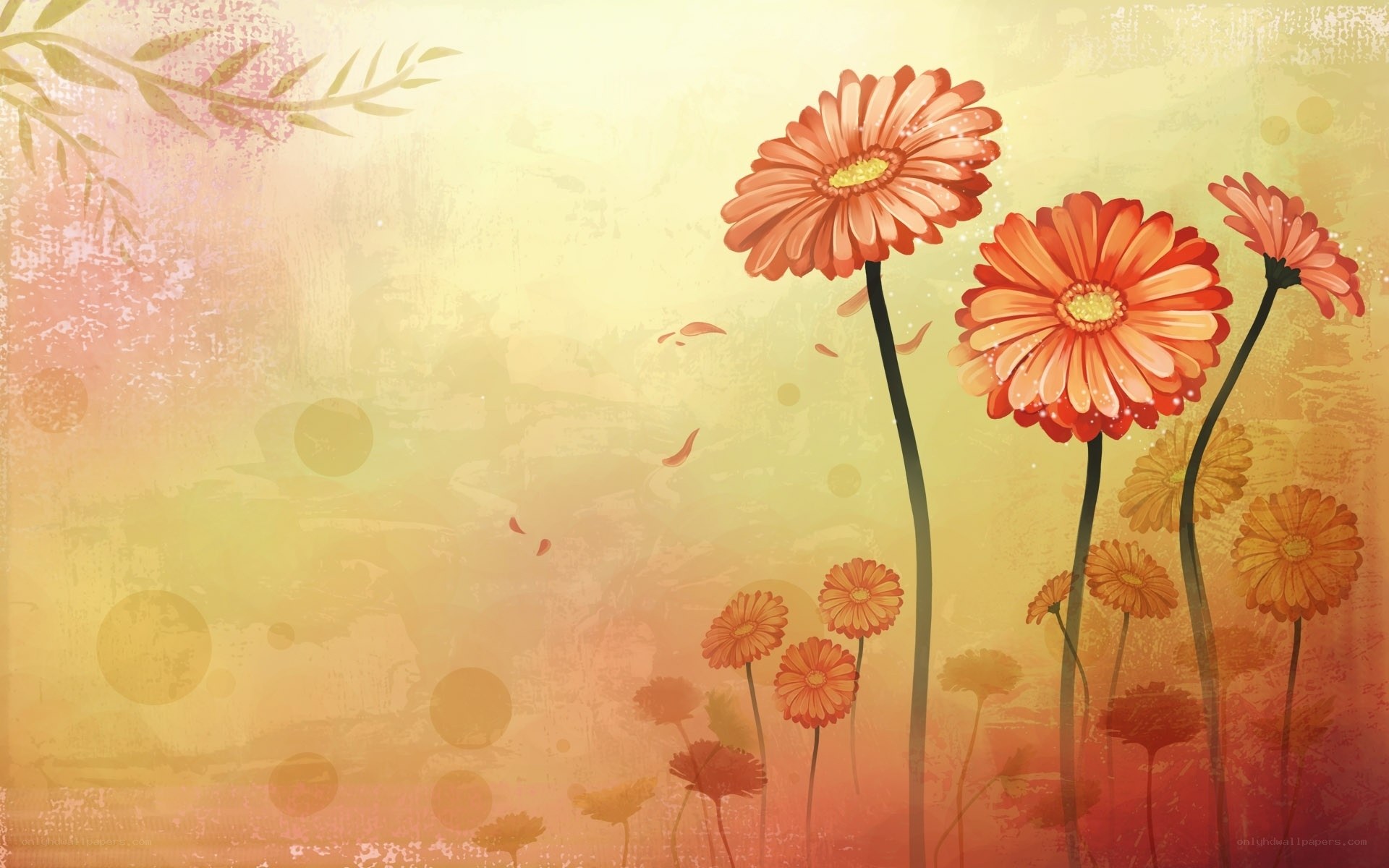 Orange daisies on a warm background