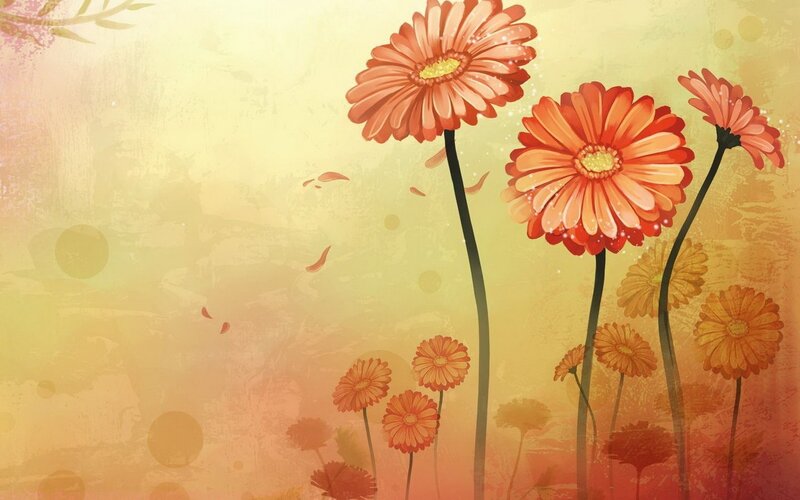 orange daisies on warm background