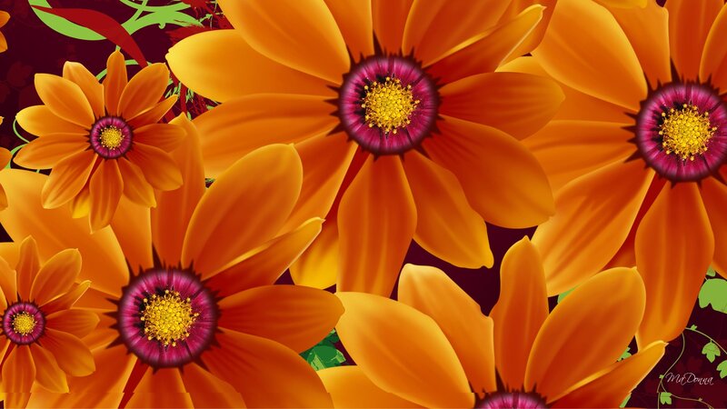 Orange Daisy Flowers — Vibrant, Digital Art