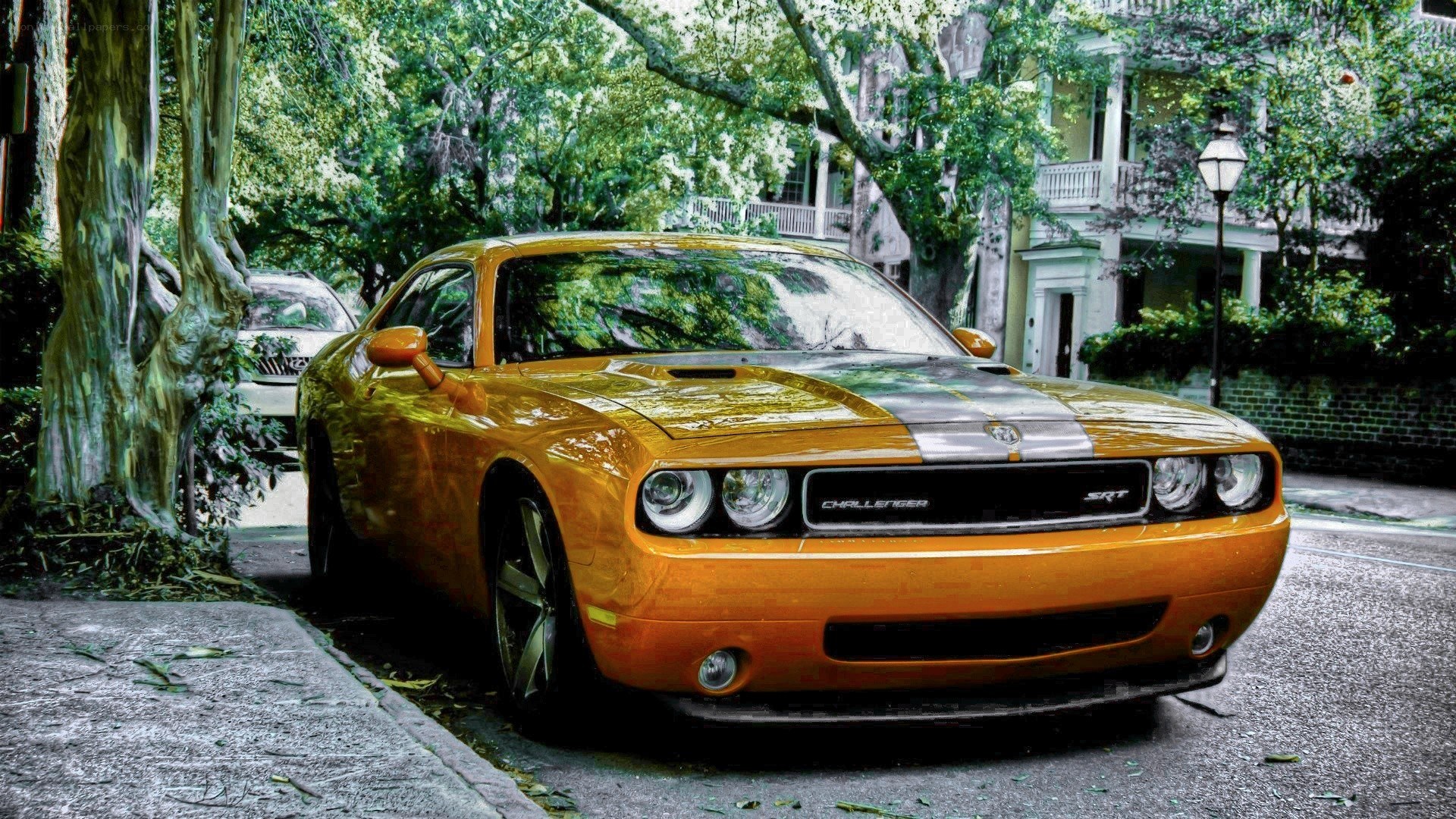 Orange Dodge Challenger on a tree-lined street