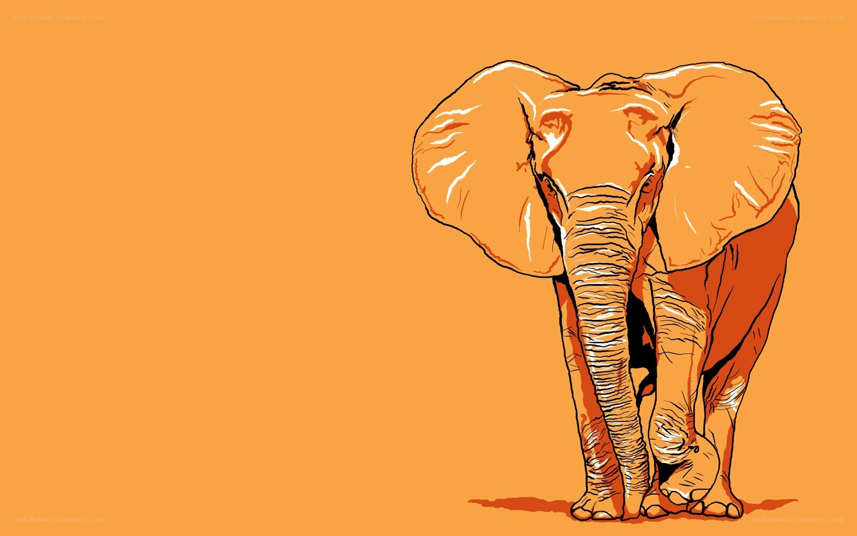 orange elephant illustration
