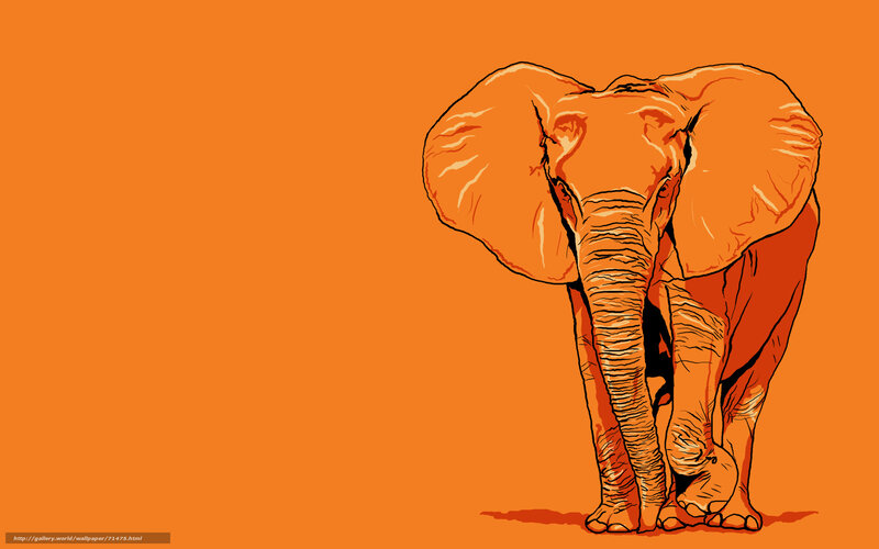 orange elephant illustration