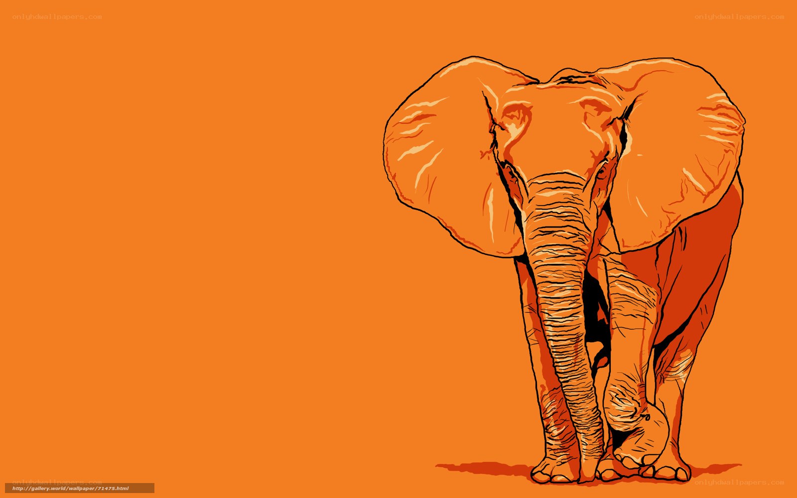 orange elephant illustration