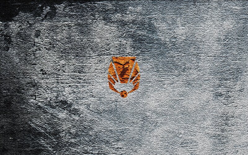 Orange Emblem on Wall