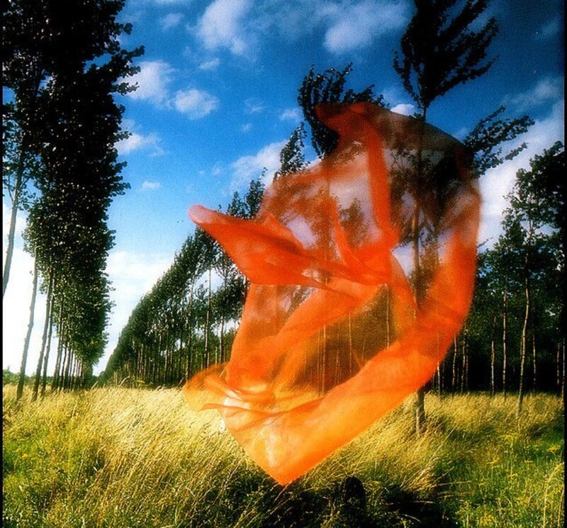 Orange Fabric in Field