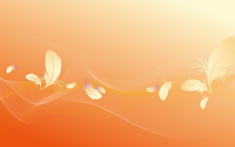 orange feather background