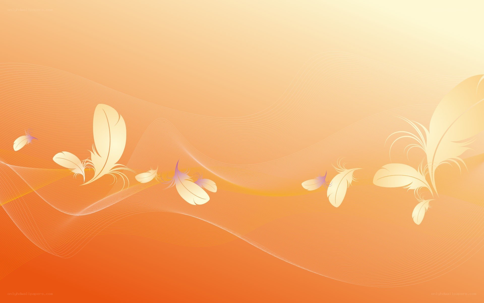orange feather background