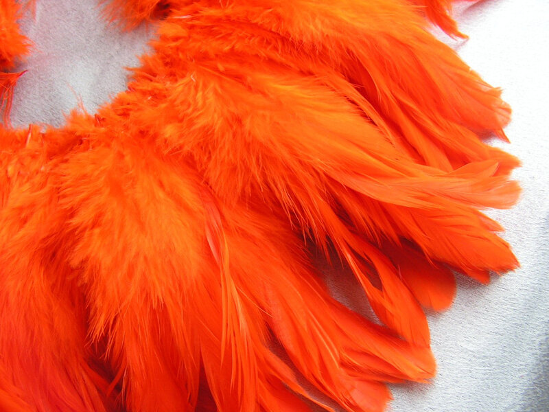 Orange Feathers