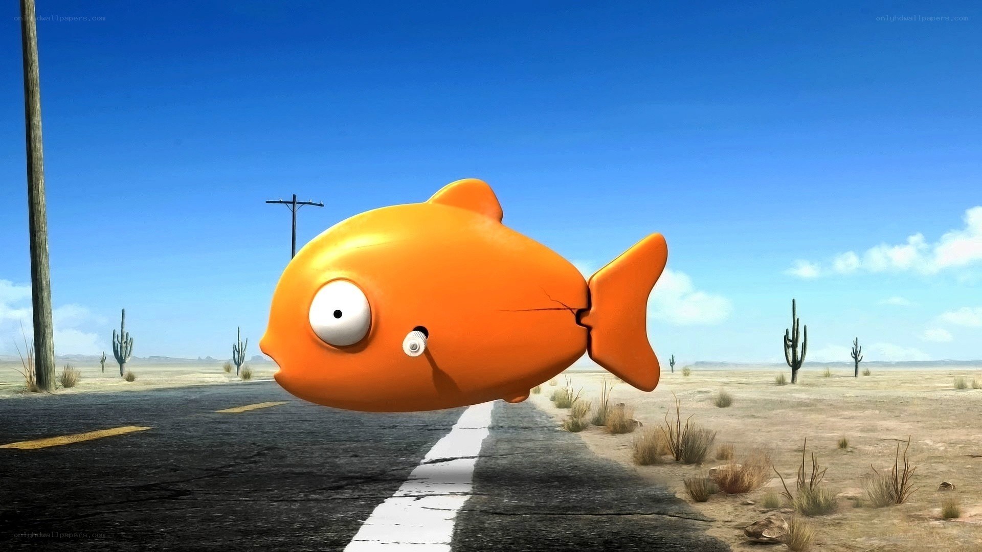 orange fish in desert
