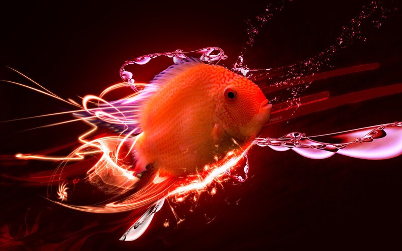 Orange Fish in Motion — Red, Dramatic, Digital Art