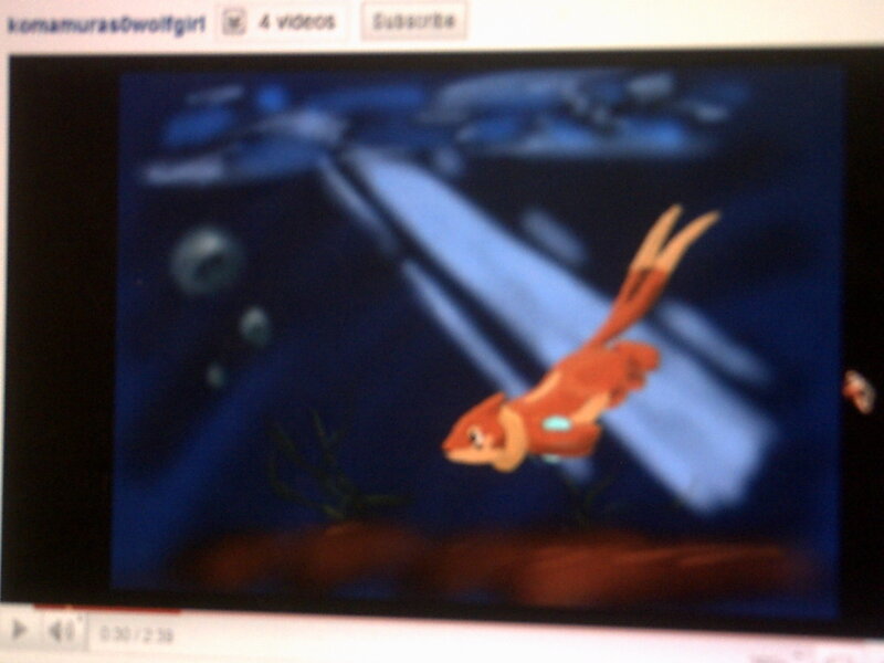 Orange Fish Swimming