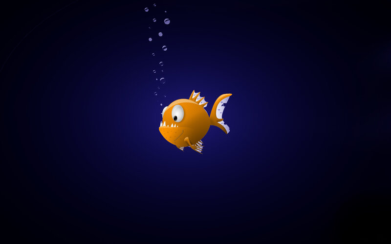 orange fish underwater