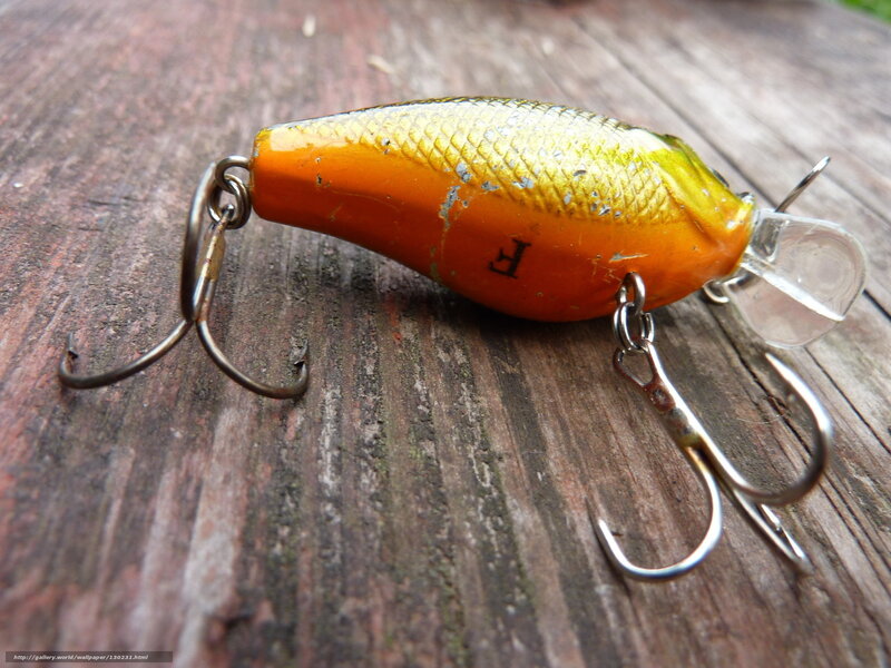 orange fishing lure on wood