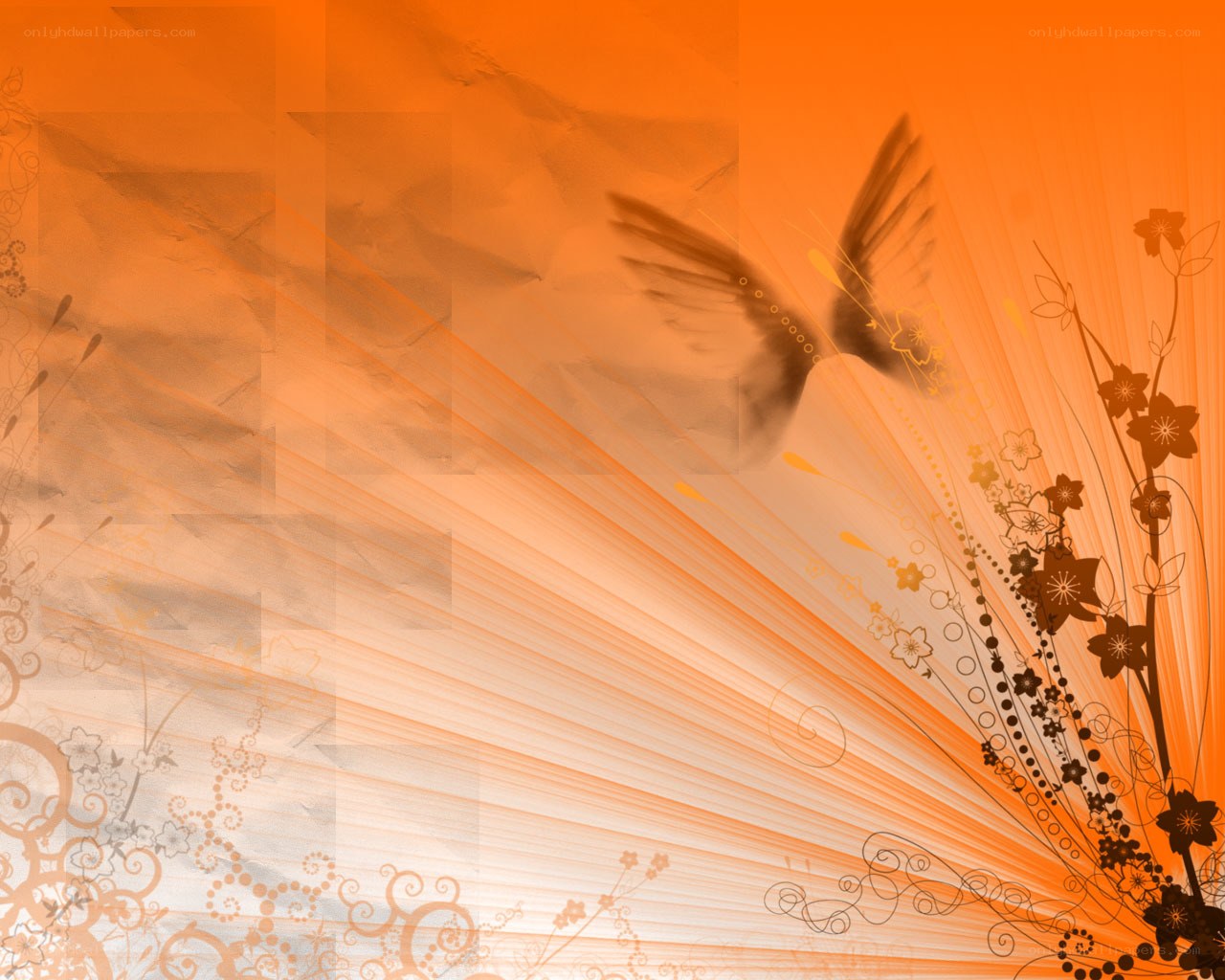 orange floral abstract background