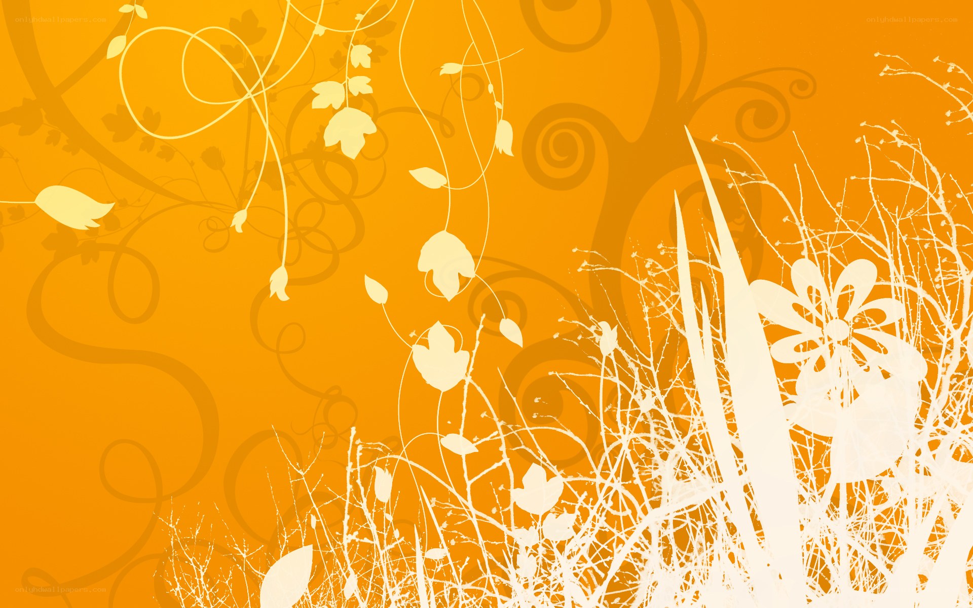 orange floral abstract background
