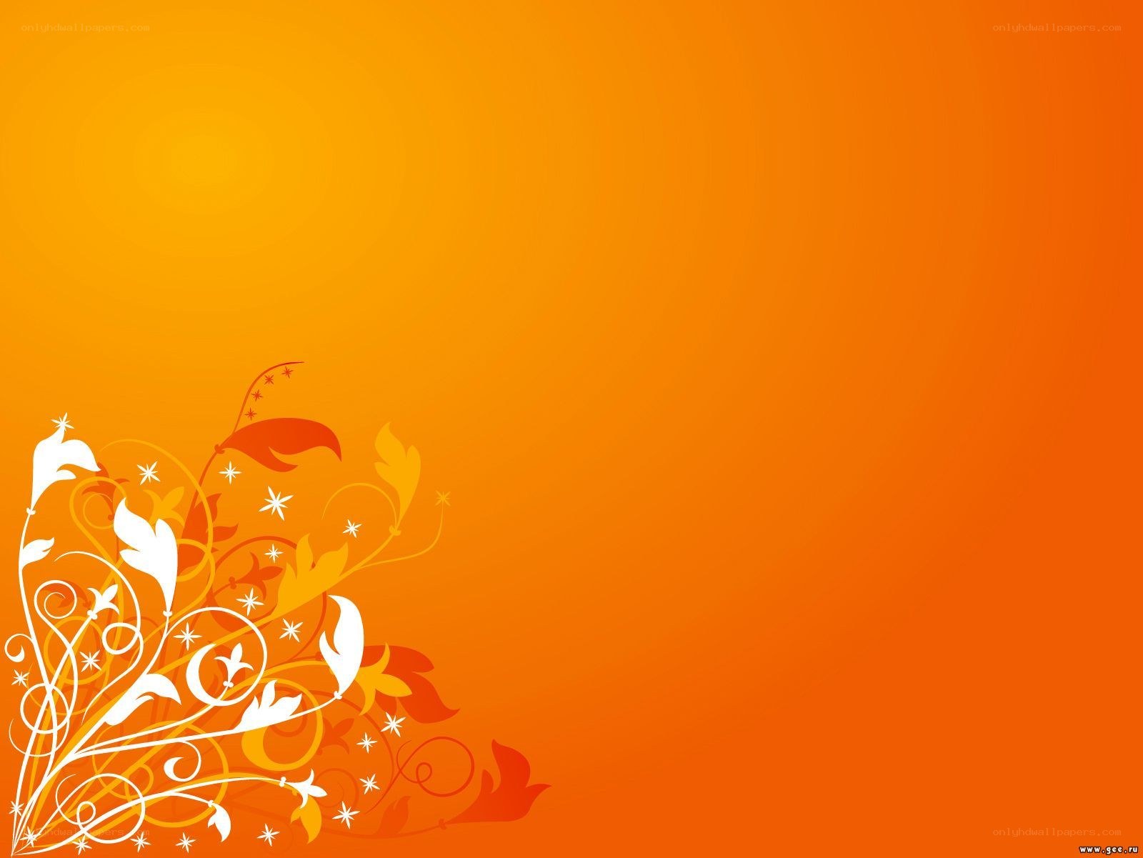 orange floral design background