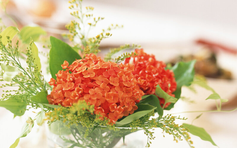 Orange Flower Arrangement — Calm