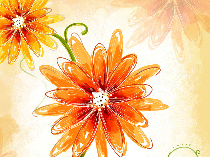 orange flower illustration
