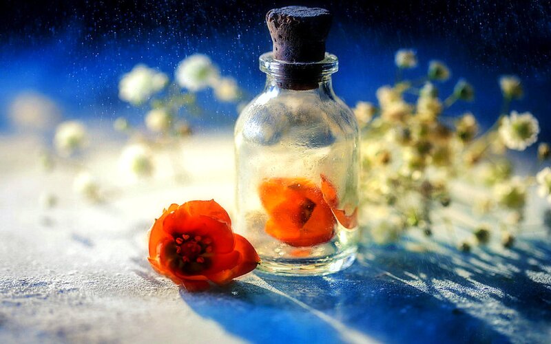 Orange Flower in Glass Bottle