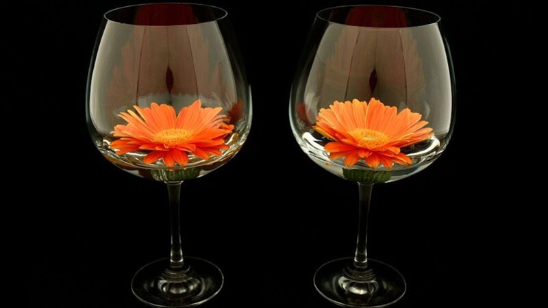 Orange Flower in Glass
