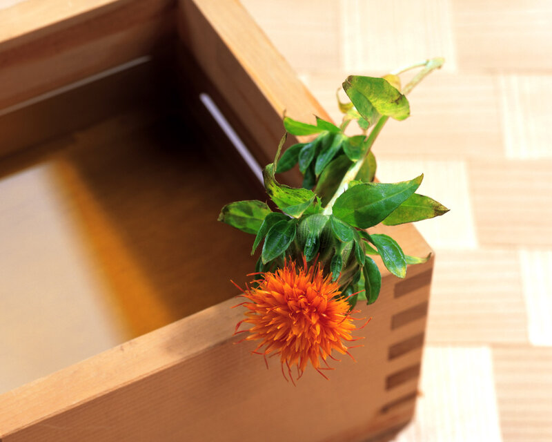 Orange Flower in Wooden Box — Calm