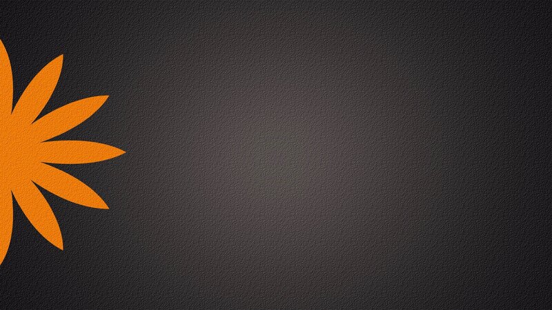 Orange Flower Logo