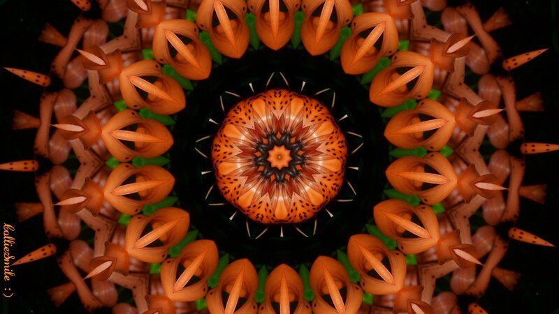 Orange Flower Mandala