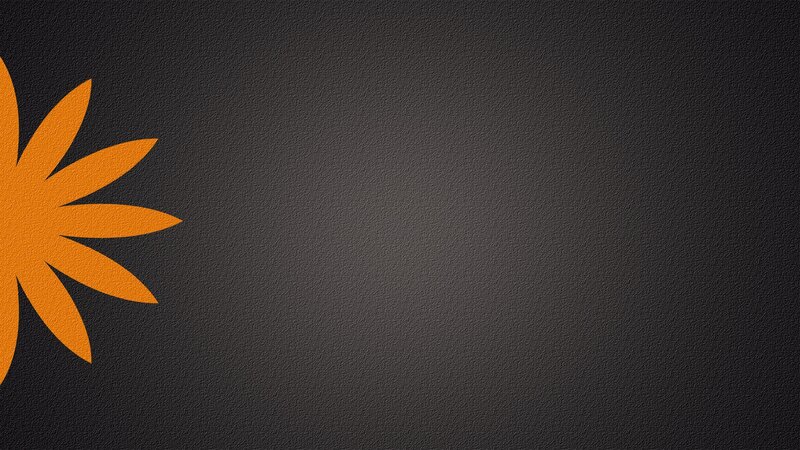 orange flower on dark background