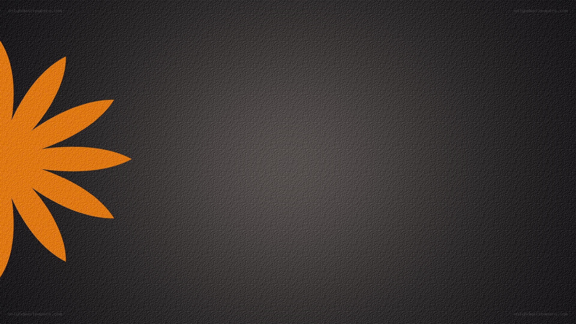 orange flower on dark background