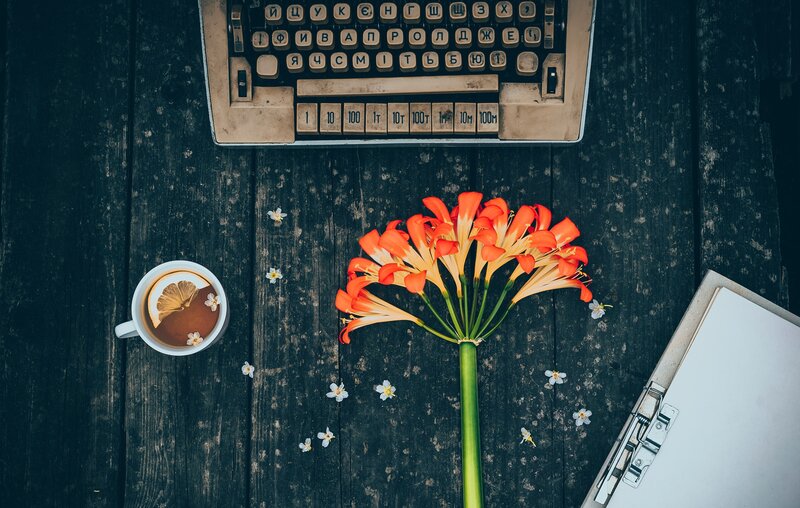 Orange Flower on Table