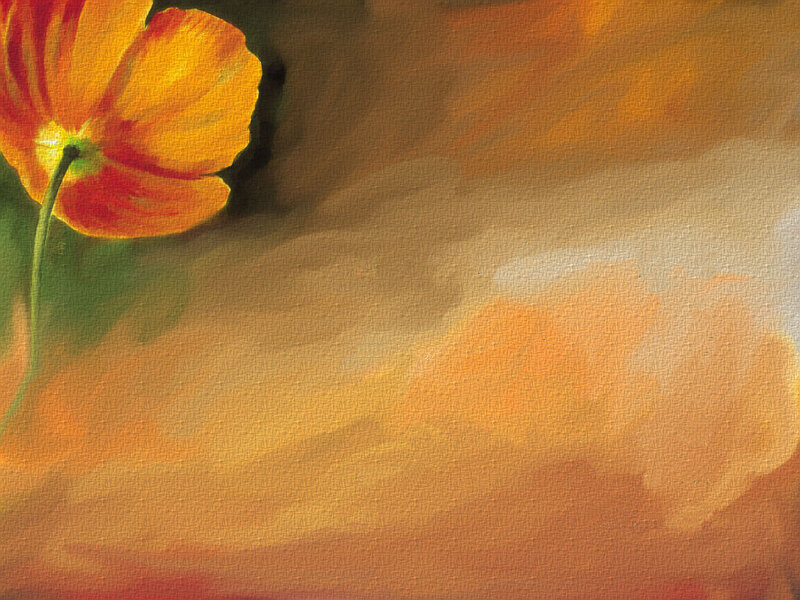 orange flower painting