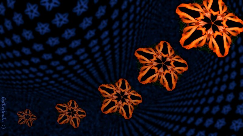 Orange Flower Patterns