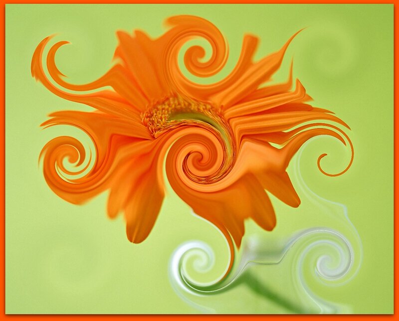 Orange Flower Swirl